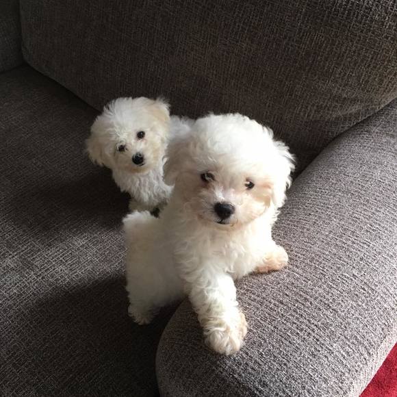 Meet your Posher, Deborah - Picture 1 of 1